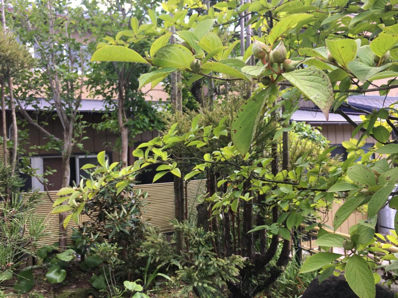 Masugataya Ryokan Tako Εξωτερικό φωτογραφία